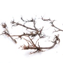 Trockenfloristik Zweige klein, Bonsaizweige, 4 - 5 Zweige, Bastelartikel f&uuml;r die Naturfloristik f&uuml;r Tischdeko und Grabschmuck