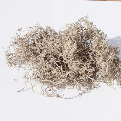 Dschungelmoos, natur grau getrocknet, 50g