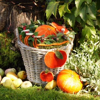 Herbstkorb | Erntedankkorb gestalten mit Naturfloristik