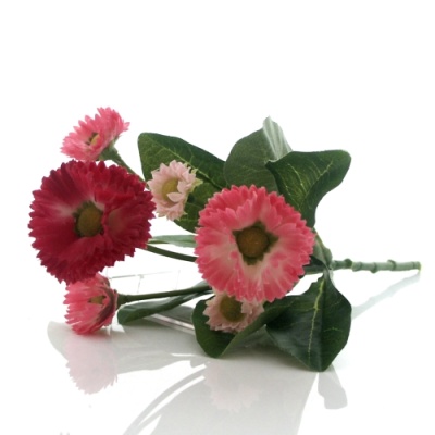 Bellis, Gänseblümchen mit 6 Blüten und Blätter, schöne Seidenblume mit 5 Blüten am Pick L 23 cm, rosa