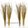 Gras getrocknet, Trockenblumen Gräser stabil, Farbmix L 70 bis 75 cm, 50 g