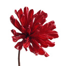 Trockenblume Holzblume Chrysantheme,Blume für Grabschmuck in rot, VE 1 Stück, ca. 10 cm