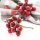 Beeren-Pick rot, Beeren künstlich für Herbst Weihnachten VE 1 St mit 11-12 Beeren
