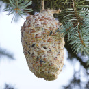 Vögel füttern im Winter DIY Idee mit Zapfen