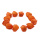 Physalis orange 12 Stück für die Herbstdeko basteln