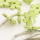Streublumen Blumen aus Holz für Tischdeko grün VE 40 Stück Gr 4 cm