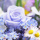 Langzeitrosen | Longlive Rosen, VE 6 Stück, präparierte Rosen-stabilisiert, Farbe hellblau,  D 3,6-4,5 cm