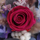 Langzeitrosen VE 1 Stk, gro&szlig;e pr&auml;parierte Rosen-stabilisiert, Farbe lila violett, D ca. 7 cm