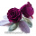 Langzeitrosen VE 1 Stk, große präparierte Rosen-stabilisiert, Farbe lila violett, D ca. 7 cm