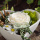 Langzeitrosen VE 1 Stk, große präparierte Rosen-stabilisiert, Farbe creme weiß, D ca. 7 cm