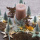 Pflanzstern Pflanzschale aus Birke Gr. D 28 x H 6,5 Adventsschale aus Holz
