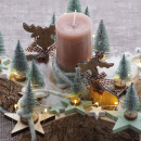 Adventschale | Adventsgesteck DIY Idee Sternschale modern selber dekorieren