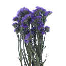 Statice sinuata blau VE 1 Bund, Trockenblumen natur...