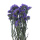 Statice sinuata blau VE 1 Bund, Trockenblumen natur getrocknet