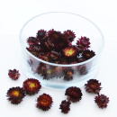 Strohblumenk&ouml;pfe Trockenblumen Helichrysum natur dunkel/rot VE 30 g, zum Basteln im Landhausstil