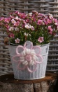Wickelblumen aus Wolldraht, Wollschnur | Deko Blumen basteln