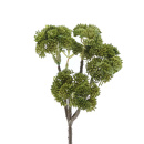 Herbstzweig Succulent, k&uuml;nstlich, L 30 cm Herbstdeko zum Dekorieren gr&uuml;n