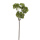 Herbstzweig Succulent, künstlich, L 30 cm Herbstdeko zum Dekorieren grün