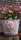 Wickelblumen Easy Makramee Blumen basteln aus Filz, Wolle, Draht mit Wolldraht
