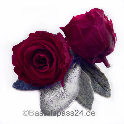 Langzeitrosen VE 1 Stk, große präparierte Rosen-stabilisiert, Farbe weinrot, D ca. 7 cm