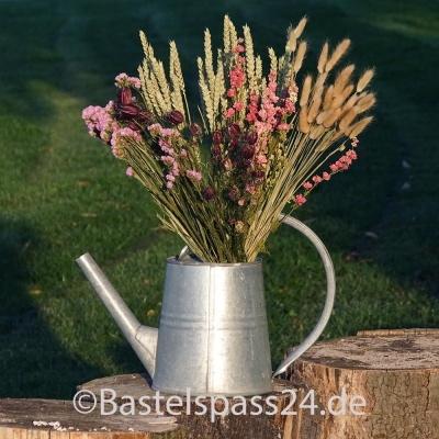 Trockenblumen Lagurus | Vintage Boho | ca. 100 Stiele