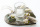 BohoTischdeko mit Glasvasen, Hasenschwenzgras, Eucalyptus