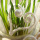 Boho Osterdeko | Frühlingsdeko mit Trockenblumen, Osterkranz und Pflanztopf natur weiß