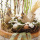 Osterdeko | Hauseingang Osterdekoration natürlich mit Birkenhühner