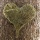 Heu-getrocknet Wiesenheu, VE 150 g, für Trockenblumengestecke natur grün