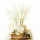 Trockenblumen creme-weiß Brizza getrocknete Gräser 1 Bund, L ca. 60 cm