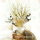 Trockenblumen weiß Brizza getrocknete Gräser 1 Bund, L ca. 60 cm