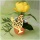 Tulpen im Topf - österlich dekoriert - Einkaufszettel anzeigen