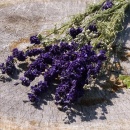 Trockenblumen natur blau Rittersporn, Blumen getrocknet...