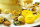 Trockenblumen Potpourri mit getrockneten Blüten, Gräser, Früchte, Samen, gemischt 50 g gelb, grün, weiß