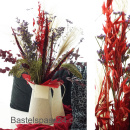 Trockenblumen Achillea, Schafgarbe dunkel-rot, 10 Stück, haltbare Blumen