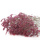 Trockenblumen Statice Limonium rosa 1 Bd L ca. 75 cm, getrocknete Blumen mit Stiel