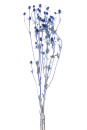 Trockenblumen Disteln blau Eryngium L ca 50 cm, VE 3 Stiele