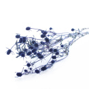 Trockenblumen Disteln blau Eryngium L ca 50 cm