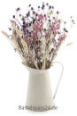 Trockenblumen weiß Phalaris getrocknete Gräser 1 Bund, L ca. 60 cm