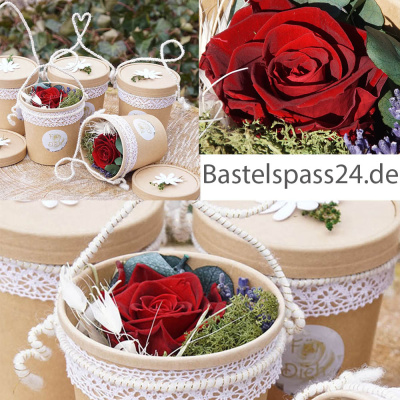 Rosenbox mit echter Rose präpariert und Trockenblumen in Geschenkschachtel rot weiß