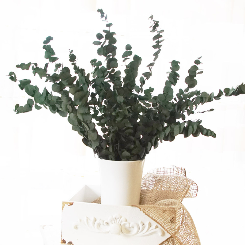 Eukalyptus präpariert Bund 150 g