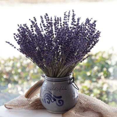 Lavendel getrocknet natur extra blau, Trockenblumen VE 1 großer Bund ca. 95 g