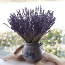 Lavendel getrocknet natur extra blau, Trockenblumen VE 1 gro&szlig;er Bund ca. 95 g