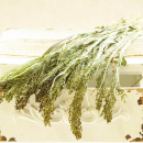Trockenfloristik Hirse getrocknets Gras natur gr&uuml;n VE 1 Bund ca. 30 g f&uuml;r Trockenblumen Deko