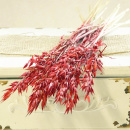 Trockenblumen rot Hafer getrocknete Gr&auml;ser 1 Bund, L ca. 65 cm