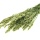 Hafer zum Basteln kaufen, getrockenet ganzer Bund ca. 140 bis 170 g natur grün L ca. 70 cm