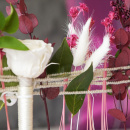 Metallring mit Ständer für Trockenblumen und Frischblumen dekorieren, Sommerdeko