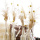 Craspedia Trockenblumen 5 Stk natur gelb, für Gestecke und Glasvasen dekorieren
