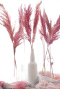 Pampaswedel Trockenblumen, groß buschig, rosa / pink 9-10 Stk L 65 -70 cm, Gräser für Trockenfloristik