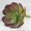 Succulente Echerveria 15cm Pflanze k&uuml;nstlich, rosa-gr&uuml;n mit Stiel f&uuml;r Schalen und Gestecke